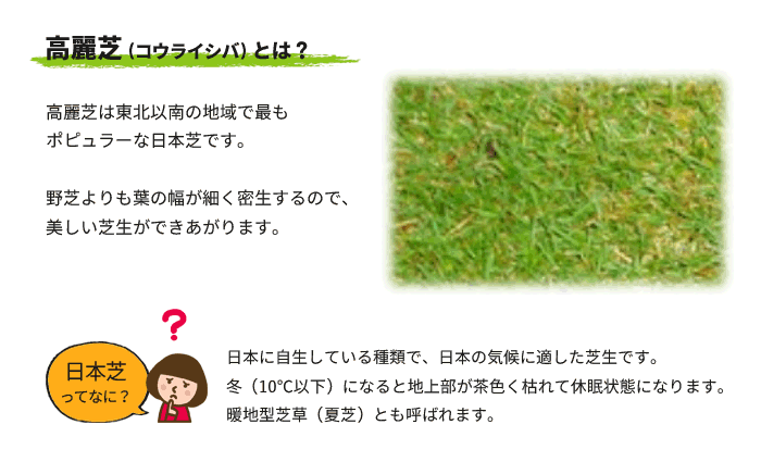 高麗芝とは？