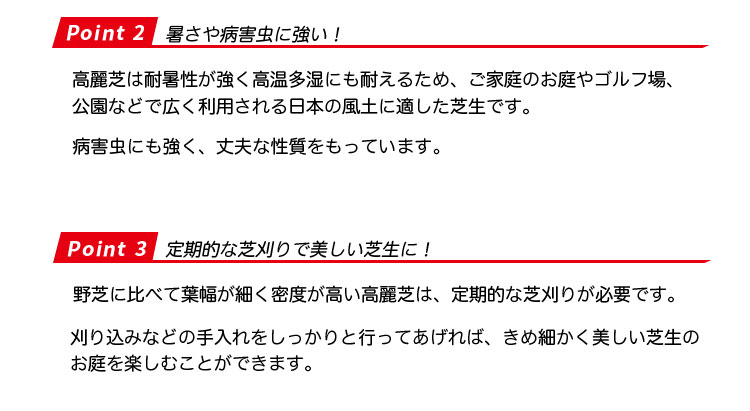 高麗芝のポイント