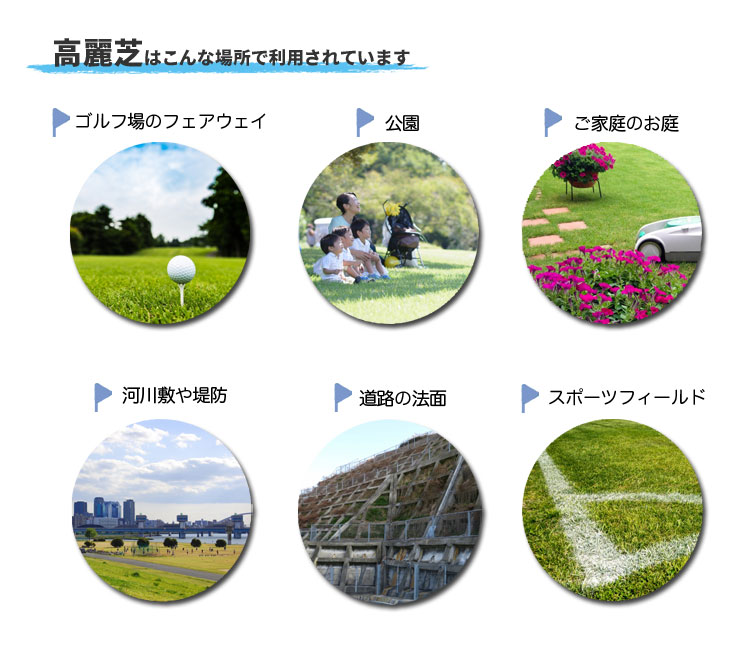 高麗芝の利用場所