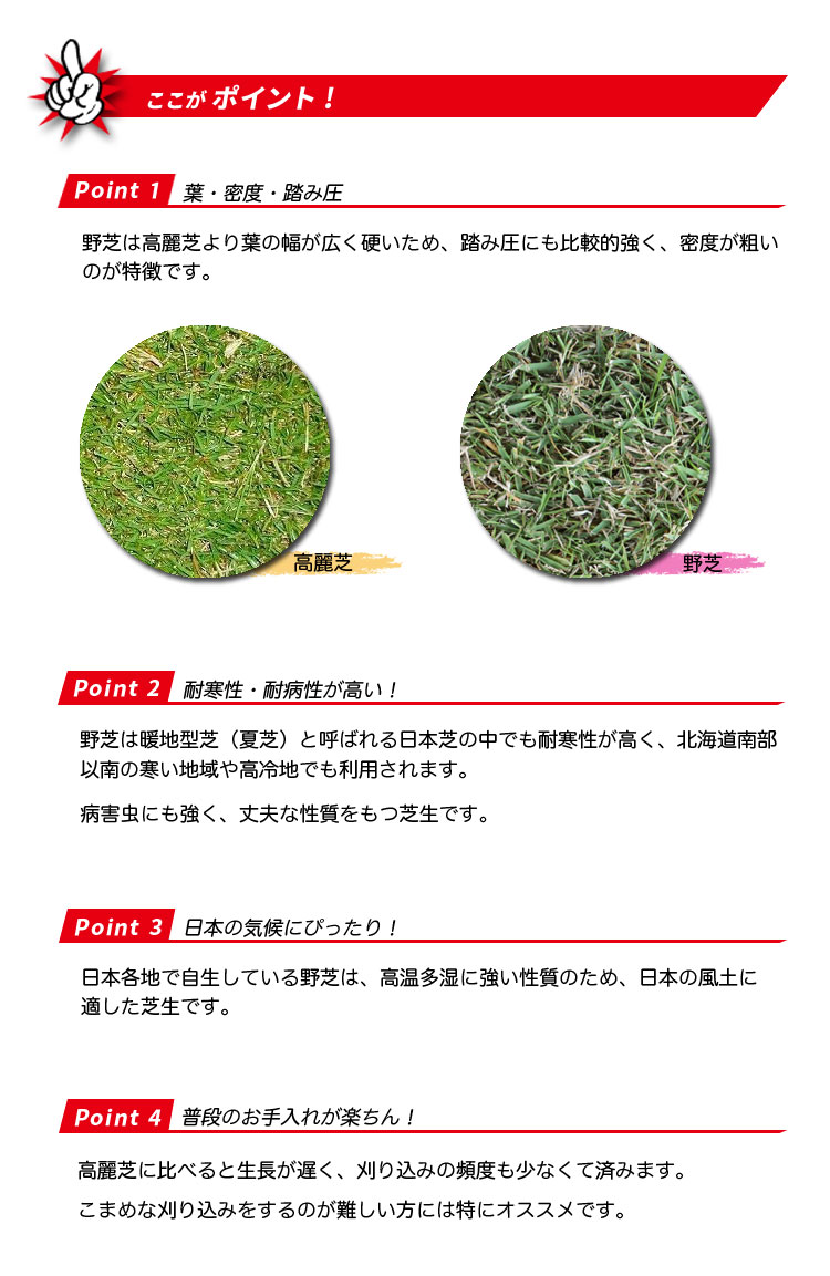 野芝(ノシバ)のポイント