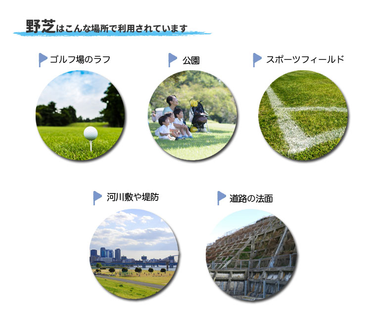 野芝(ノシバ)の利用場所